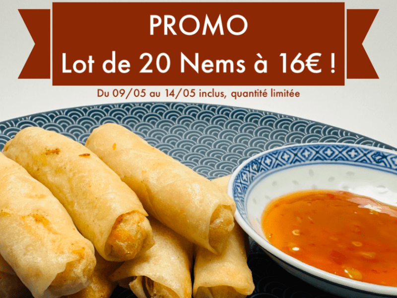 Promo : Lot de 20 nems à&nbsp;16€