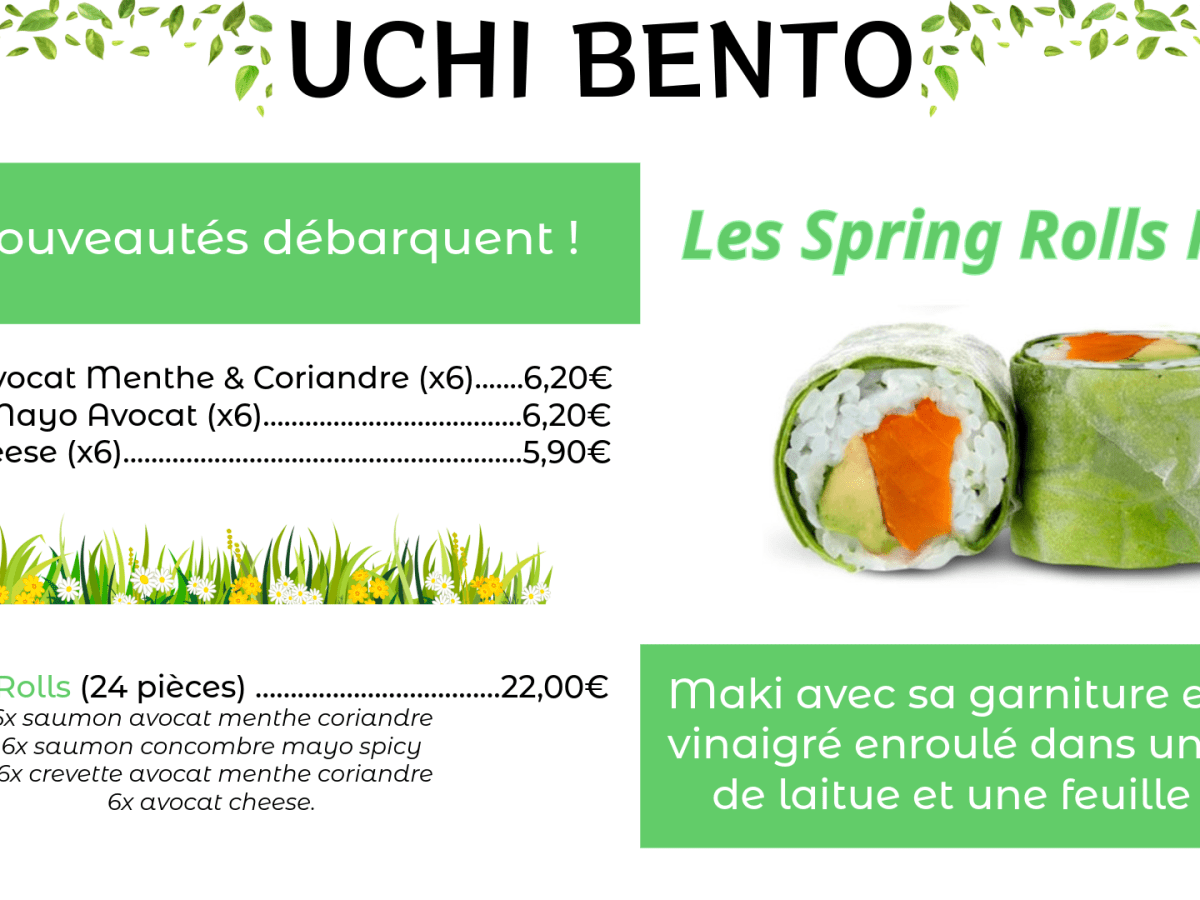 Nouveauté : Les Spring Rolls&nbsp;Maki